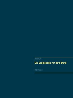 cover image of Die Sophiensäle vor dem Brand. Vollständiger Reprint in Originalgröße.